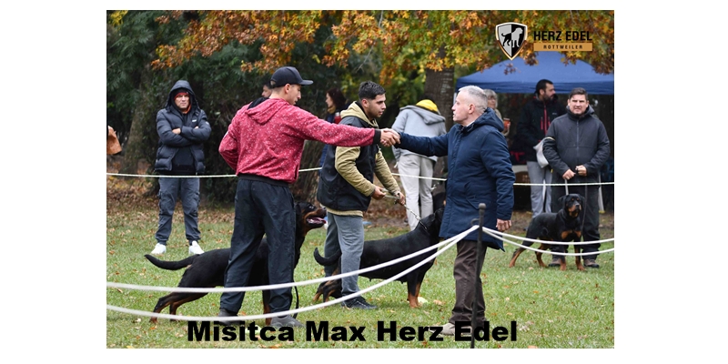 Mística